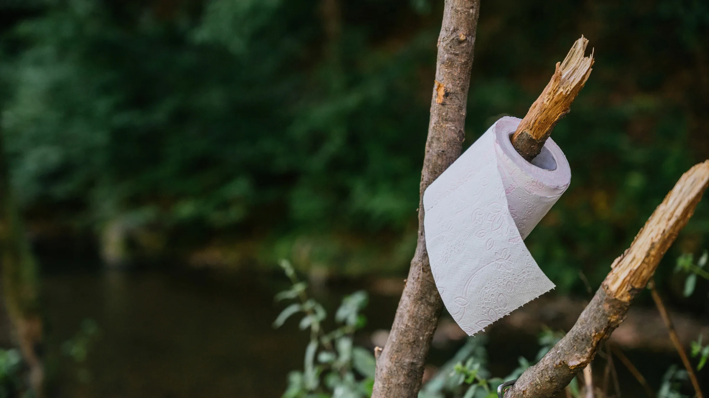 Could Pooping Outdoors Protect Your Health?